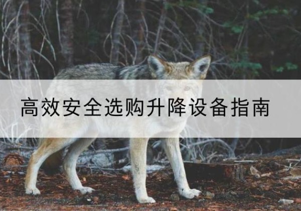 锦屏升降货梯厂家推荐-*安全选购升降设备指南