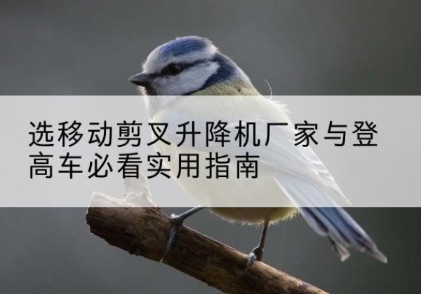 锦屏电动升降机厂家-选移动剪叉升降机厂家与登高车必看实用指南